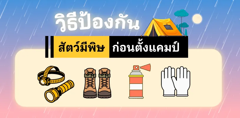 วิธีป้องกันสัตว์มีพิษก่อนตั้งแคมป์ (ลดความเสี่ยงตั้งแต่ต้น)